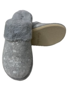 Garzón Símbolo Nieve