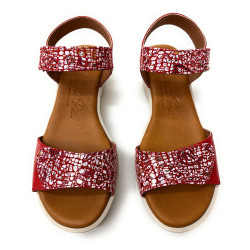 Gaudi Rojo Velcro